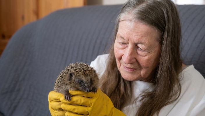 Tish and hedgehog
