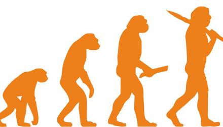 Evolution image