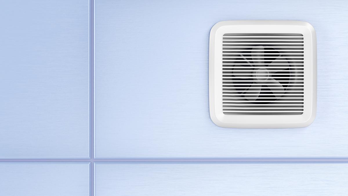 Ventilation: by law, your employer must provide sufficient fresh or purified air to your workplace